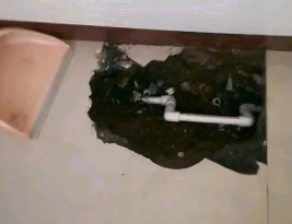 奉节卫生间测漏水多少钱